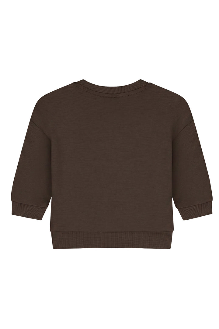 MBA50026007_50012_Malelions_Baby_College_Sweater_Dark_Brown_Back.jpg