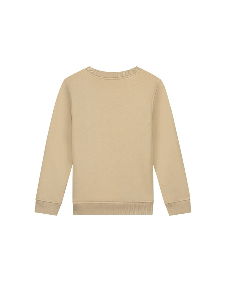 MJ1-AW24-16_236_Malelions_Junior_Paint_Sweater_Light_Brown_Back_1.jpg