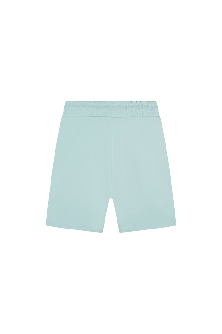 MJ1-SS25-49_558_Malelions_Junior_Counter_Shorts_Sky_Blue_Back-1.jpg
