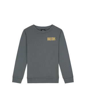 Malelions Junior Hollywood Map Sweater | Anthracite