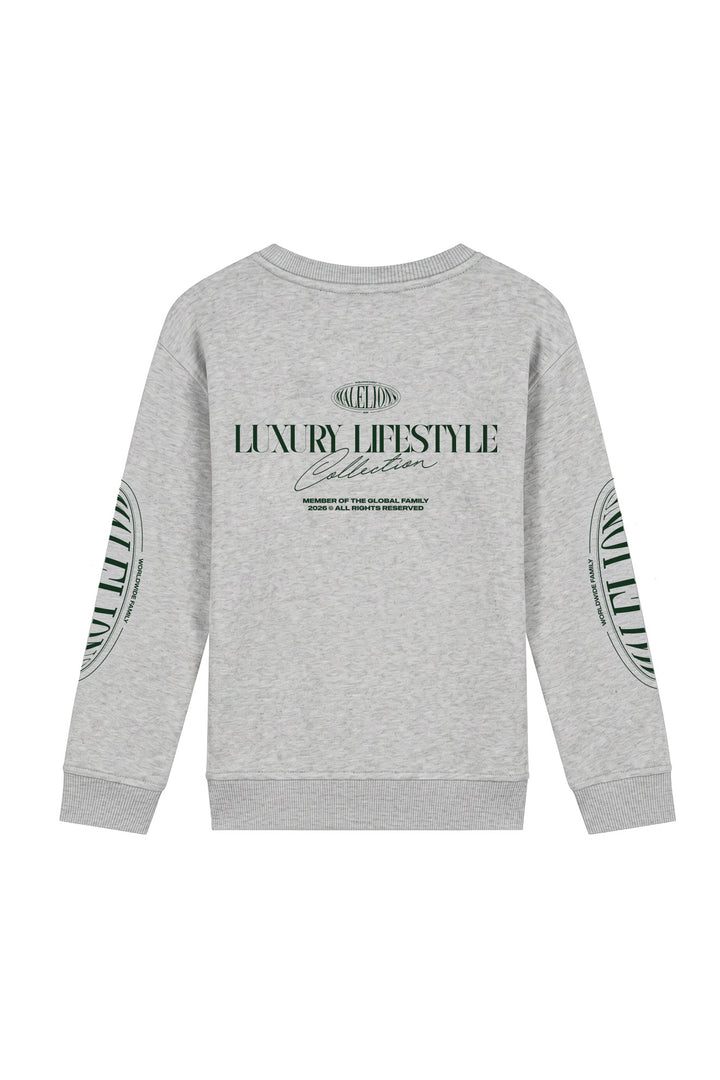 MJA50026005_41003_Malelions_Junior_Relaxed_Lifestyle_Sweater_Grey_Melange_Back.jpg