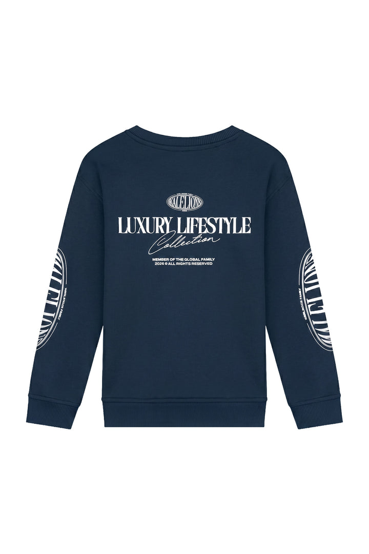 MJA50026005_42008_Malelions_Junior_Relaxed_Lifestyle_Sweater_Navy_Back.jpg