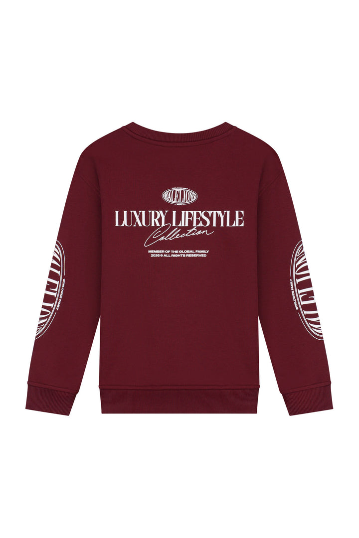 MJA50026005_45004_Malelions_Junior_Relaxed_Lifestyle_Sweater_Burgundy_Back.jpg