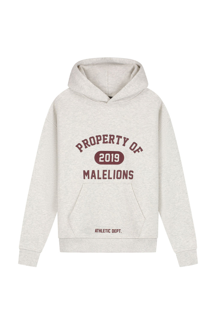 MJA50026029_41003_Malelions_Junior_Relaxed_Property_Hoodie_Grey_Melange_Front.jpg