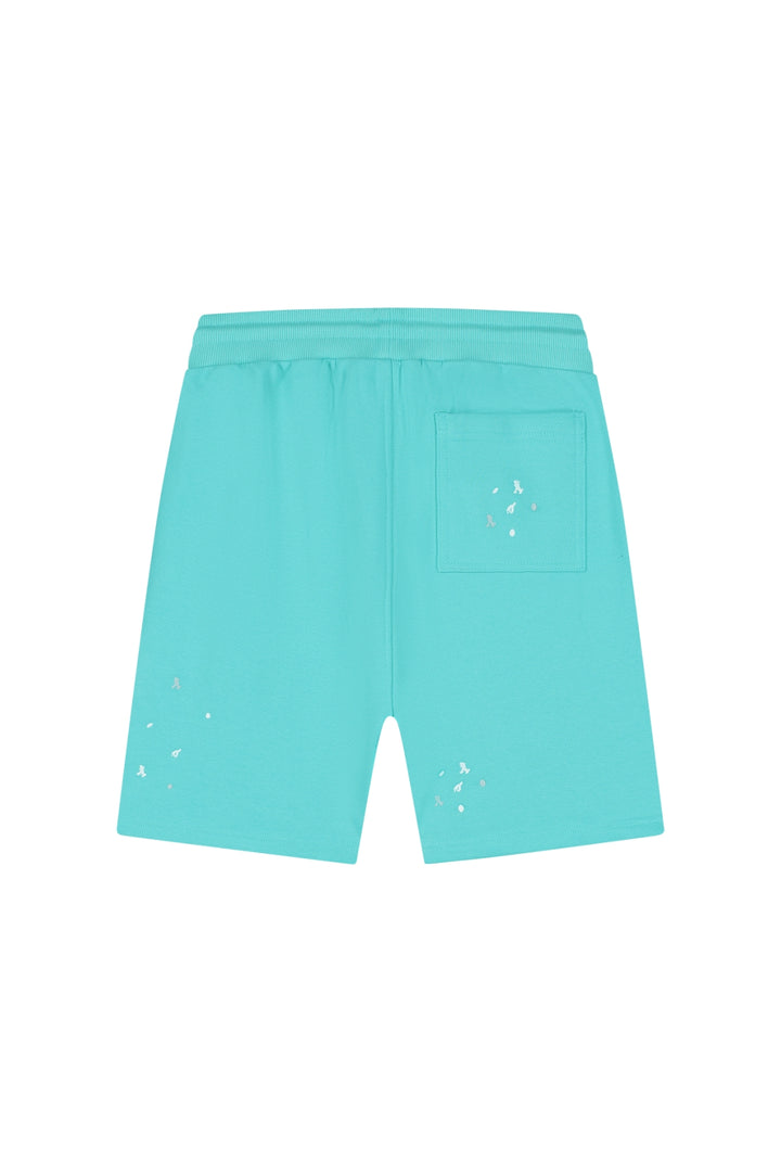MM3-SS25-37_752_Malelions_Men_Painter_Shorts_Bright_Blue_Back.jpg
