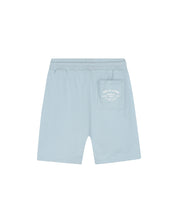 Malelions Men Permanent Vacation Shorts | Ice Blue