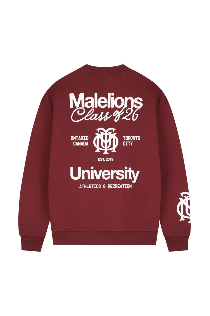 MMB50026044_45004_Malelions_Men_Class_Of_26_Sweater_Burgundy_Back.jpg