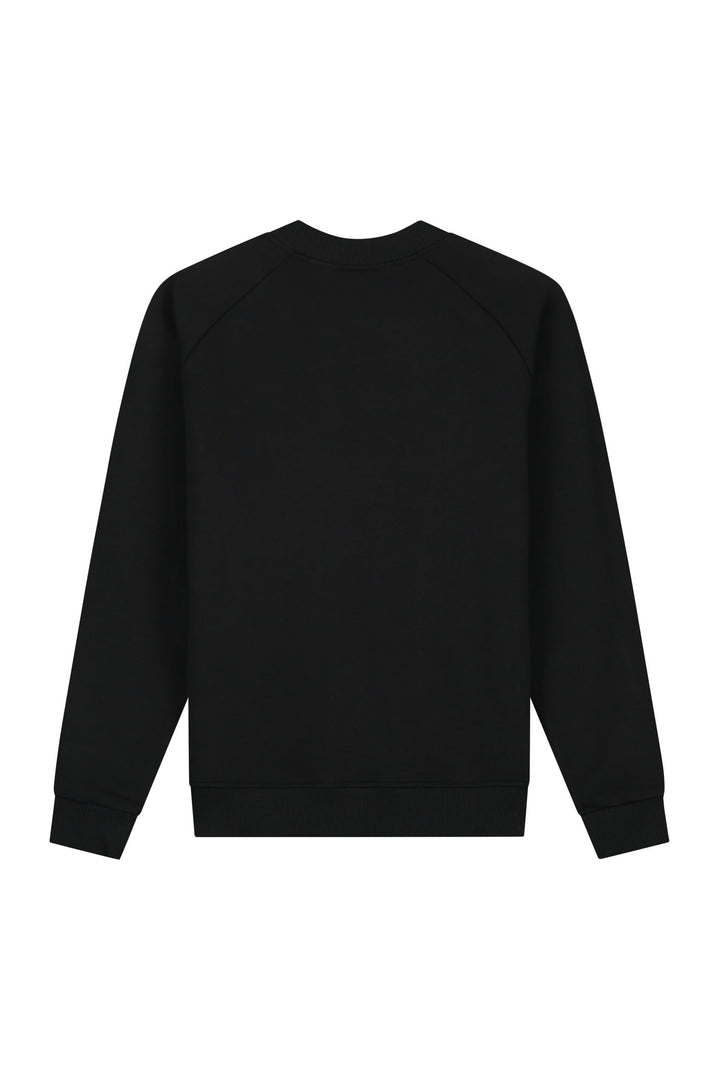 MSB50026012_49001_Malelions_Sport_Logo_Raglan_Sweater_Black_Back.jpg