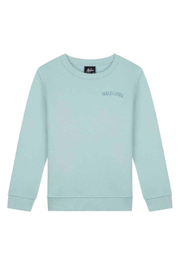 Malelions_Junior_Paint_Sweater.jpg