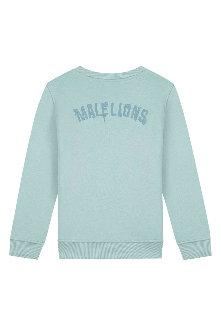 Malelions_Junior_Paint_Sweater_1.jpg