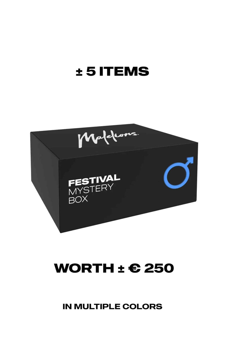 Malelions_Mystery_box_festival_1.jpg