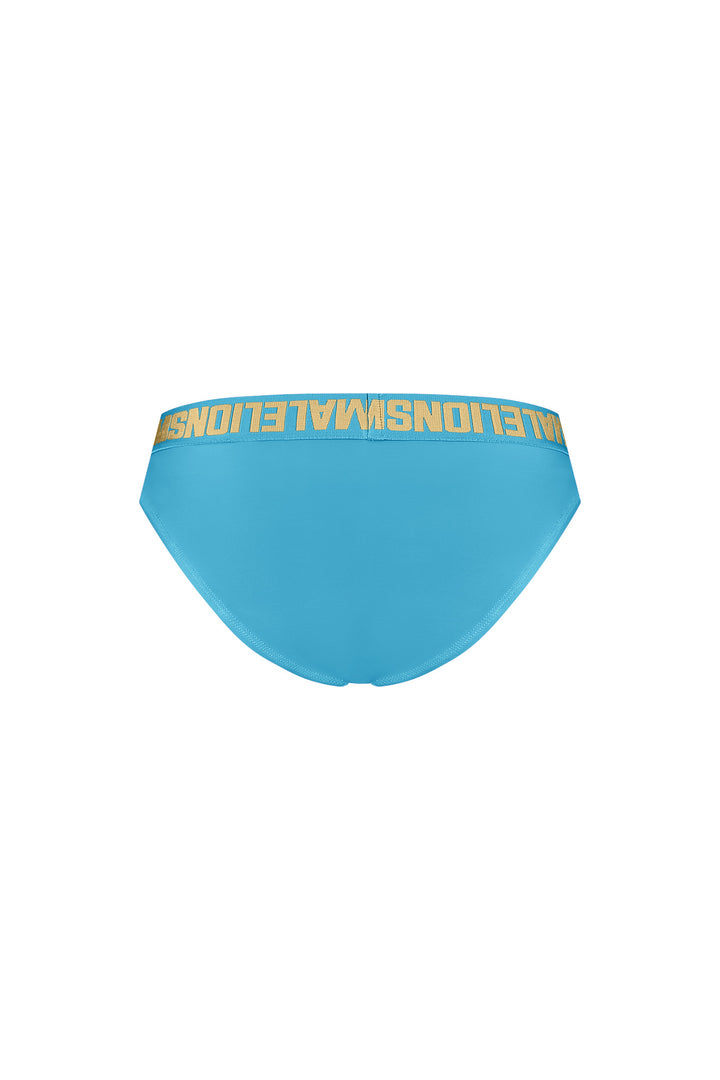 Venetian_Bikini_Bottom_-_Light_Blue_-_Back.jpg